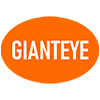 Gianteye Video Surveillance System