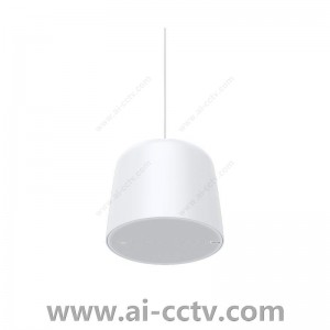 AXIS C1511 Network Pendant Speaker 02390-001