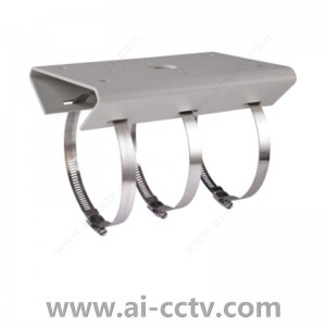 Huawei ACC2606-AW Fixed Dome Indoor and Outdoor Pole Mount